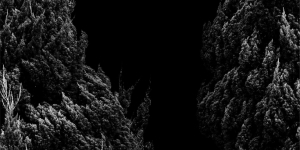 Tout ce qui se voit sous le soleil (Takamatsu 1)