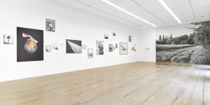 TINA - Yann Haeberlin